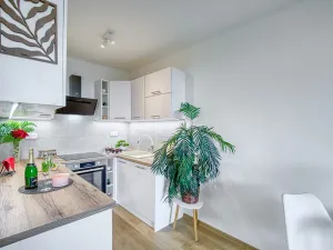Pronájem bytu 2+kk, Zruč nad Sázavou, Na Pohoří, 43 m2