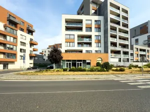 Pronájem restaurace, Praha - Holešovice, V háji, 240 m2
