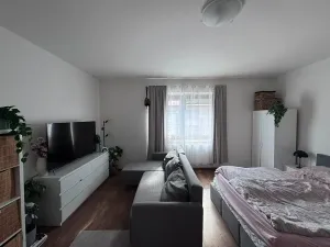Pronájem bytu 1+1, Jihlava, Hálkova, 39 m2