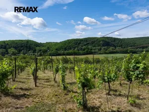 Prodej sadu/vinice, Moravské Bránice, 2403 m2