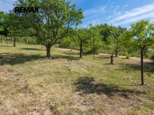 Prodej sadu/vinice, Moravské Bránice, 2403 m2