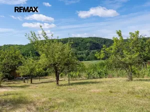 Prodej sadu/vinice, Moravské Bránice, 2403 m2