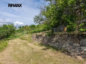 Prodej sadu/vinice, Moravské Bránice, 2403 m2