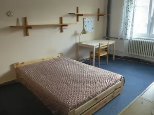 Pronájem bytu 1+kk, Praha - Dejvice, Generála Píky, 20 m2