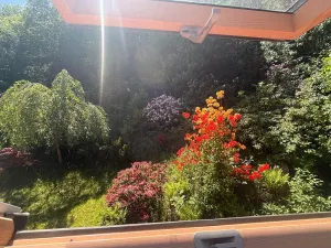 Prodej rodinného domu, Bousín, 200 m2