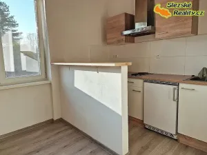 Pronájem bytu 1+kk, Ostrava, Krakovská, 22 m2