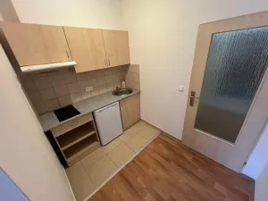 Pronájem bytu 1+1, Otvovice, 28 m2