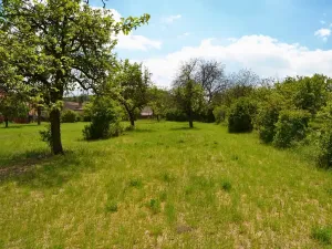 Prodej pozemku pro bydlení, Třebenice, 5844 m2