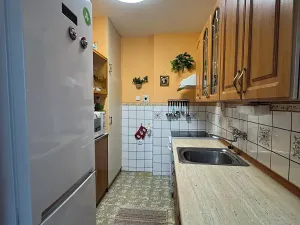 Pronájem bytu 2+1, Brandýs nad Labem-Stará Boleslav, Kralupská, 56 m2