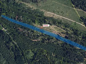 Dražba lesa, Olbramice, 7242 m2