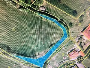 Prodej louky, Luže, 11020 m2