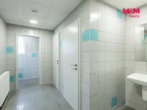 Pronájem obchodního prostoru, Louny, Březinova, 210 m2
