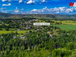 Prodej pozemku pro bydlení, Janov, 6805 m2