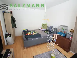 Pronájem bytu 1+1, Dýšina, K Chlumu, 42 m2