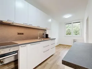 Pronájem bytu 3+1, Týnec nad Sázavou, Jílovská, 80 m2