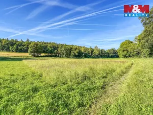 Pronájem louky, Plzeň - Koterov, 3297 m2