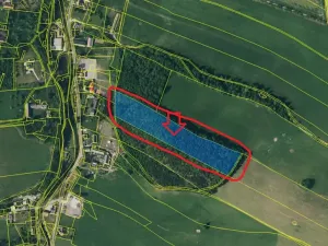 Prodej lesa, Bernartice, 23360 m2