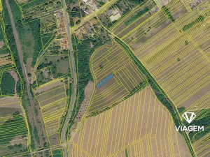 Prodej pole, Javorník, 460 m2