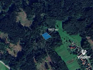 Prodej podílu lesa, Vyklantice, 1467 m2