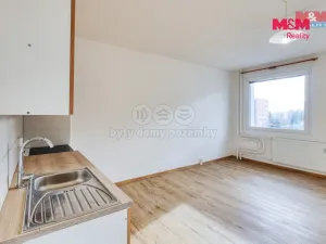 Prodej bytu 1+kk, Plzeň - Severní Předměstí, Brněnská, 31 m2