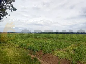 Prodej podílu pole, Tursko, 24693 m2