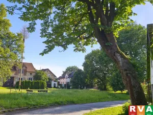 Prodej rodinného domu, Planá, 100 m2