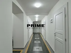 Pronájem bytu 2+kk, Praha - Vinohrady, Laubova, 50 m2