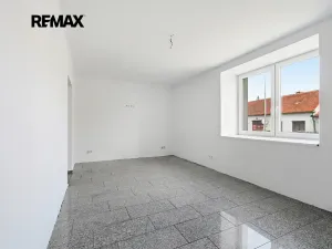 Prodej vícegeneračního domu, Kasejovice, 250 m2