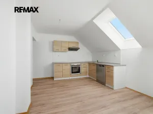 Prodej vícegeneračního domu, Kasejovice, 250 m2
