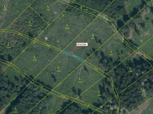 Dražba lesa, Kladruby, 90 m2