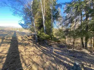 Dražba pozemku, Železná Ruda, 1644 m2