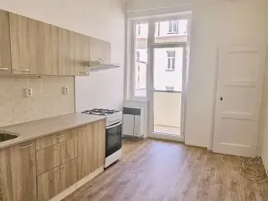 Pronájem bytu 1+1, Brno, Rybníček, 54 m2