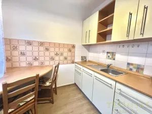 Pronájem bytu 1+1, Český Těšín, Pražská, 40 m2