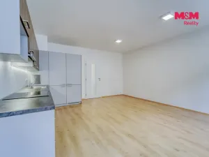 Pronájem bytu 2+kk, Plzeň - Jižní Předměstí, Karlova, 52 m2