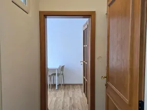 Pronájem bytu 1+1, Praha - Braník, Mezivrší, 55 m2