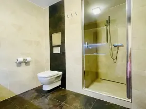 Pronájem bytu 1+kk, Brno, Cihlářská, 38 m2