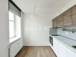 Pronájem bytu 1+kk, Praha - Vinohrady, Lucemburská, 30 m2