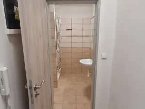 Pronájem bytu 2+kk, Teplice, Emilie Dvořákové, 50 m2