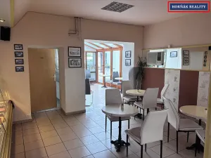 Pronájem komerční nemovitosti, Bučovice, Slavkovská, 101 m2