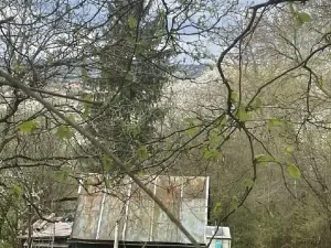 Dražba zahrady, Votice, 1108 m2