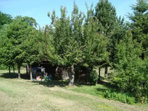 Prodej rodinného domu, Diváky, 280 m2