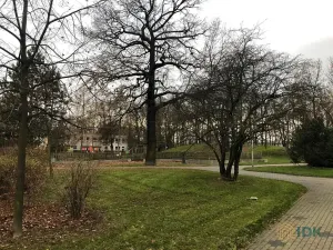 Prodej bytu 1+kk, Bohumín, Svat. Čecha, 27 m2