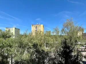 Pronájem bytu 1+1, Brno, Palackého třída, 39 m2