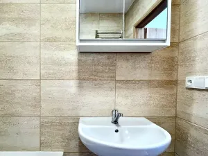 Pronájem bytu 1+1, Brno, Palackého třída, 39 m2