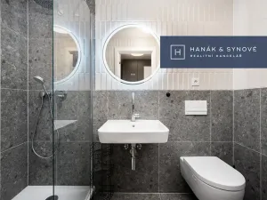 Pronájem bytu 1+kk, Brno, Bratislavská, 24 m2