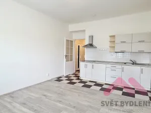 Pronájem bytu 1+kk, Praha - Nusle, Spolupráce, 32 m2