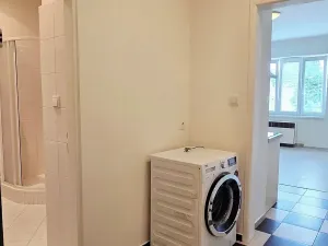 Pronájem bytu 1+kk, Praha - Nusle, Spolupráce, 32 m2