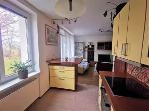 Pronájem bytu 3+kk, Chlumčany, Boženy Němcové, 72 m2