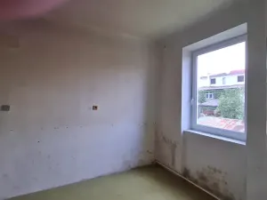 Pronájem vícegeneračního domu, Miroslav, Česká, 250 m2