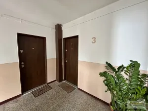 Prodej bytu 1+1, Broumov, Pionýrská, 36 m2
